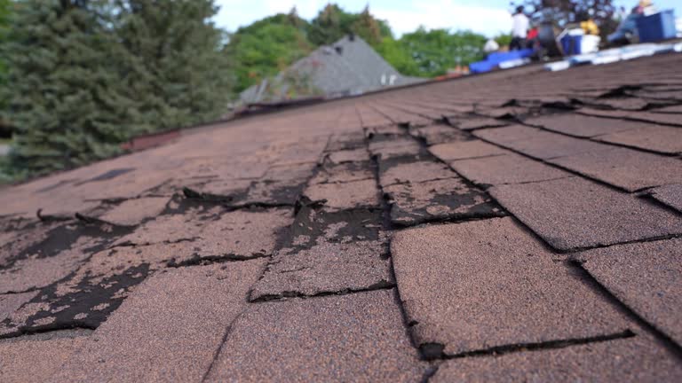 Roof Coating Services in Springville, AL