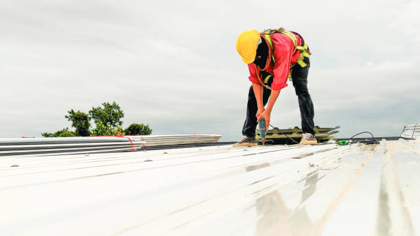 Best Skylights  in Springville, AL
