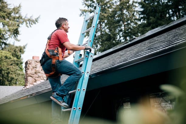 Best Roof Maintenance and Cleaning  in Springville, AL